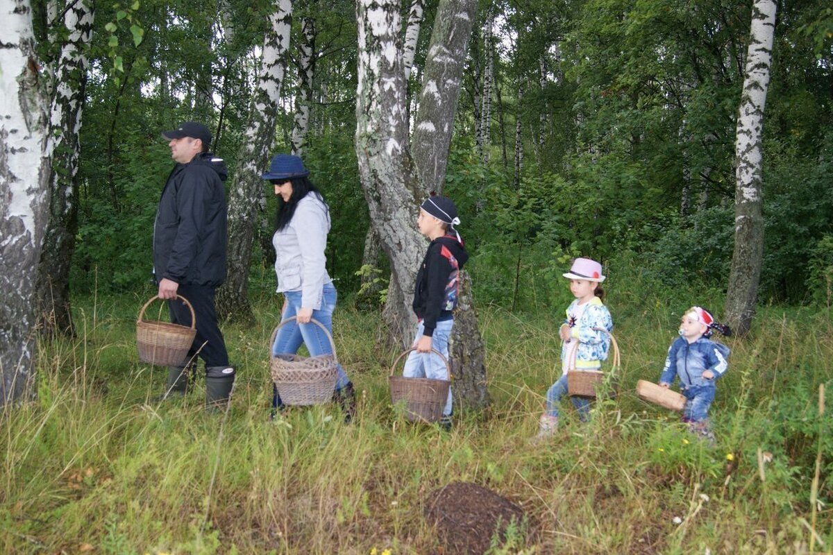 Почему люди пропадают в лесу?.