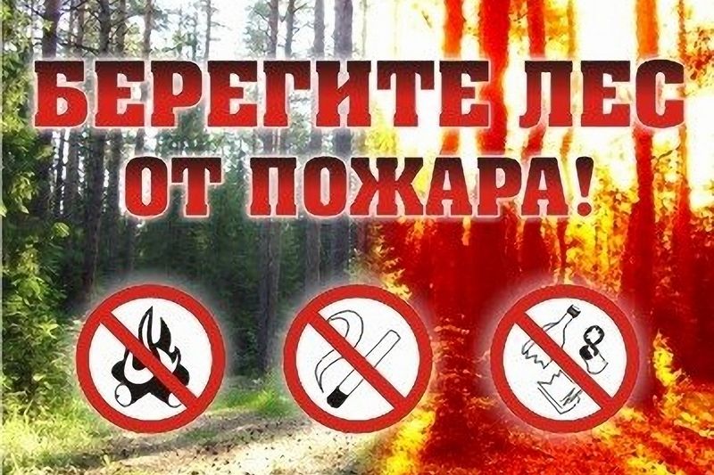 Памятка о мерах пожарной безопасности в лесах и правилах поведения в пожароопасный период.