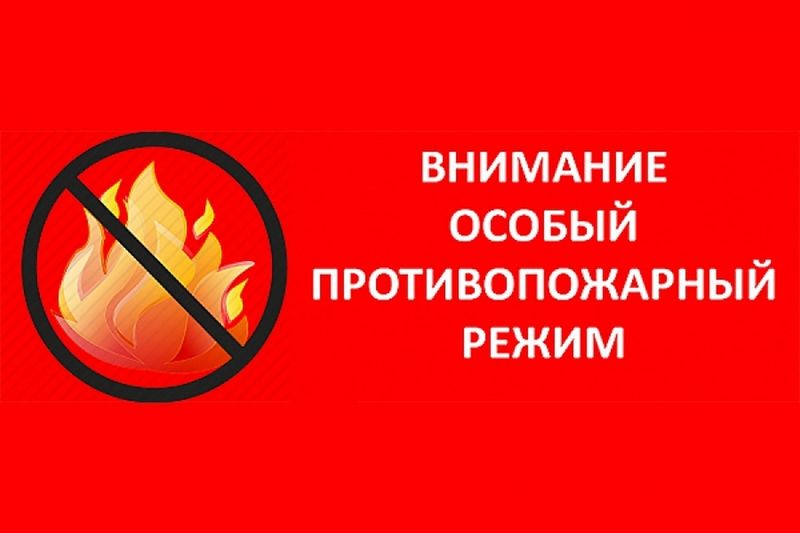 Постановление об установлении особого противопожарного режима на территории Алтайского края.