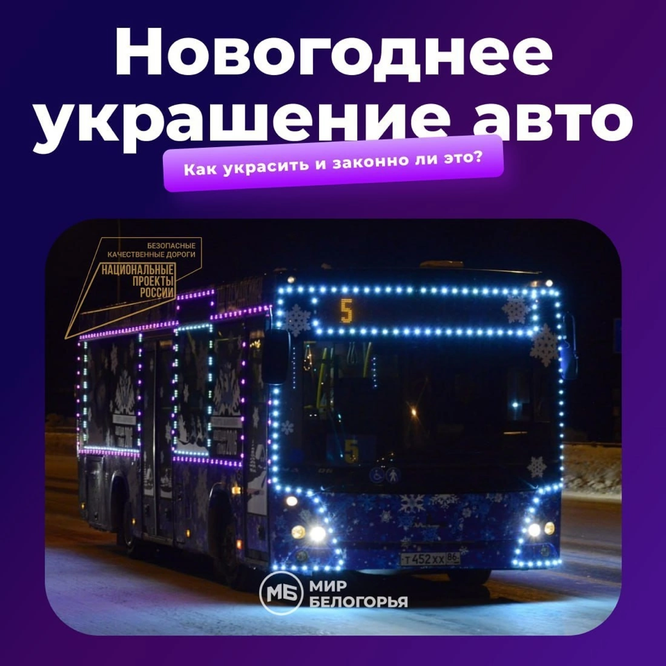 Новогоднее украшение авто.