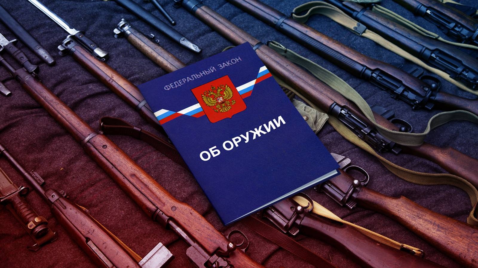 Услуги по хранению гражданского оружия.