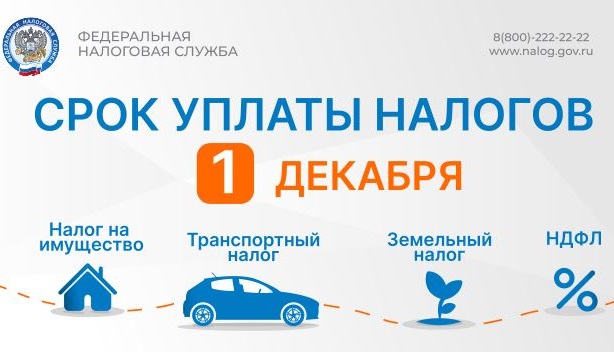Срок уплаты налогов 1 декабря 2025 года..