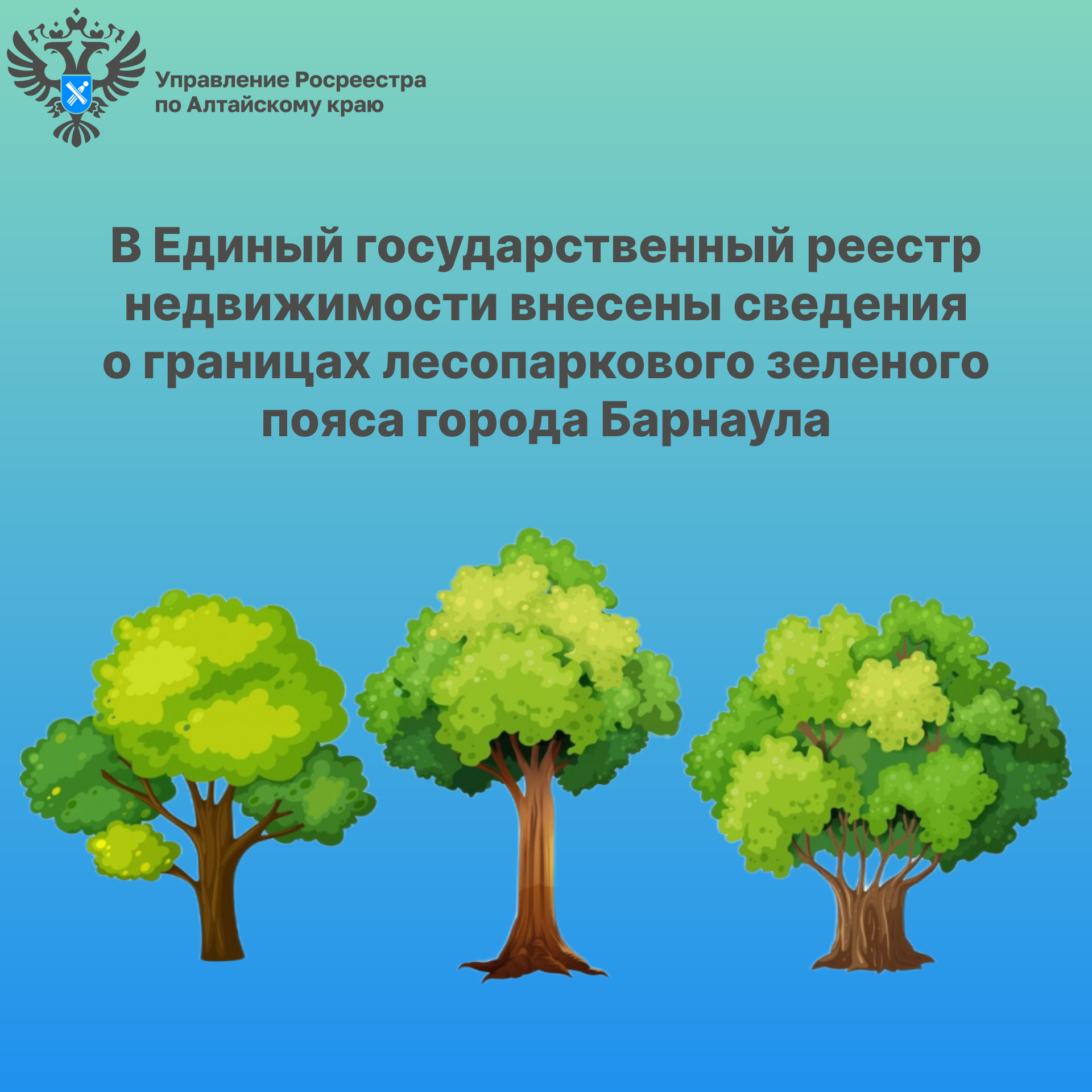 В Единый государственный реестр недвижимости внесены сведения о границах лесопаркового зеленого пояса города Барнаула.