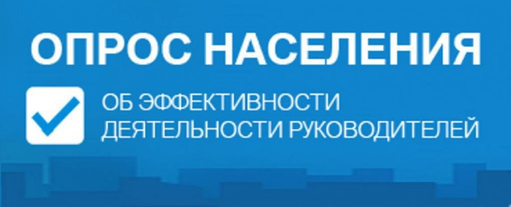 Анкета опроса населения с использованием IT-технологий по оценке эффективности деятельности руководителей.