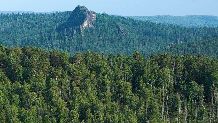 РОССИЙСКИЕ ДНИ ЛЕСА.