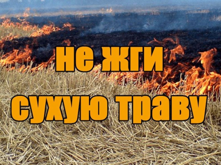 Поджог травы – преступление!. Поджог травы – преступление!.